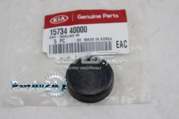 1573440000 Hyundai/Kia Tampão CBC/do bloco de cilindros