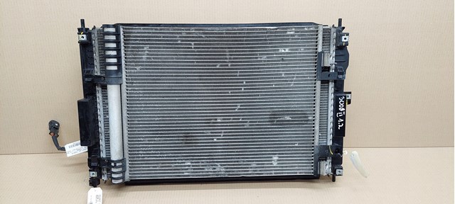 Compre 9838520180 Peugeot/Citroen Radiador de esfriamento de motor