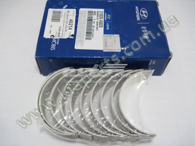 Compre 2102045020 Hyundai/Kia Folhas inseridas principais de cambota, kit, padrão (STD)
