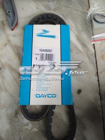 Compre 10A0925C Dayco Correia dos conjuntos de transmissão
