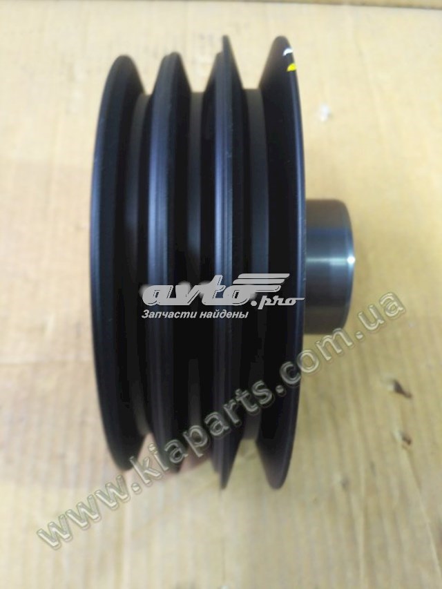 231244Z001 Hyundai/Kia Polia de cambota