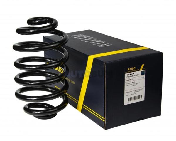 Compre SR018TP Raiso Mola traseira