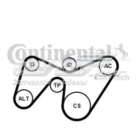 Correia dos conjuntos de transmissão, kit 6PK1642K2 Continental/Siemens