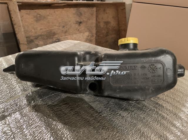289104583R Renault (RVI) 