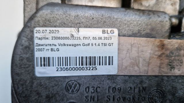 Motor montado BLG VAG