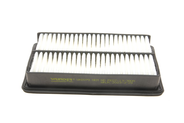 Compre WH2079 Wunder Filtro de ar