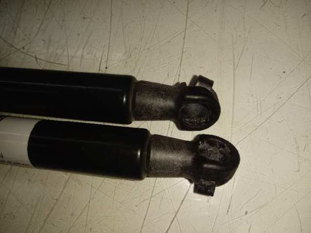904506697R Renault (RVI) Amortecedor de tampa de porta-malas (de 3ª/5ª porta traseira)
