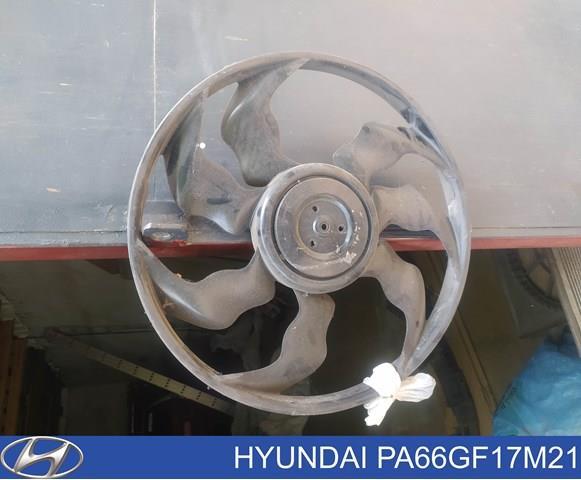 PA66GF17M21 Hyundai/Kia 