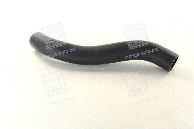 Mangueira (cano derivado) do radiador de esfriamento superior Hyundai/Kia 254111R150
