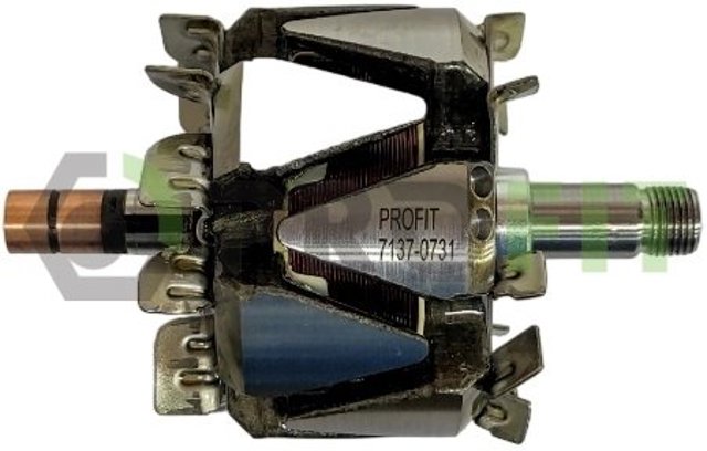 71370731 Profit Induzido (rotor) do gerador