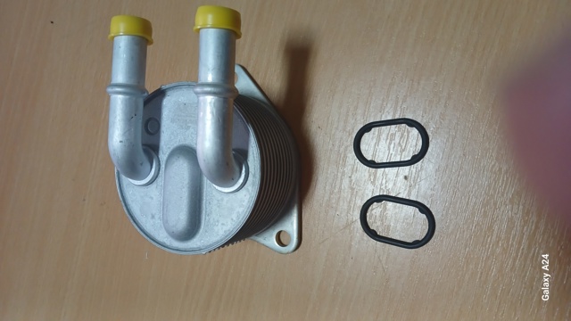 Compre 9827747580 Fiat/Alfa/Lancia Radiador de esfriamento, Caixa Automática de Mudança