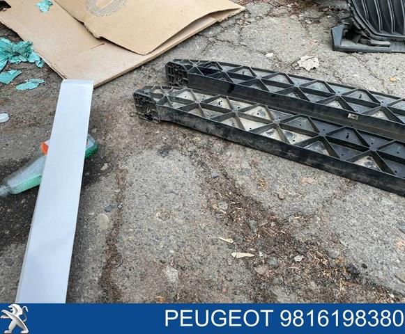  Peugeot/Citroen 9816198380