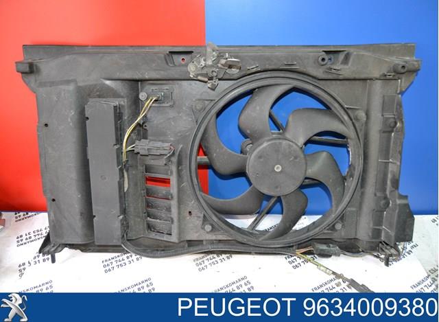 Compre 9634009380 Peugeot/Citroen 