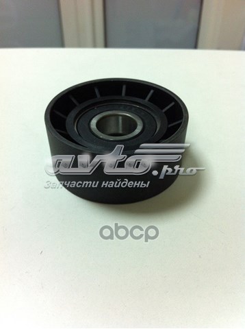 PU176012RDXW Koyo Rolo parasita da correia de transmissão