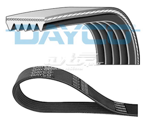 Correia dos conjuntos de transmissão Dongil 5PK1210 preço, a partir de 9,45 USD