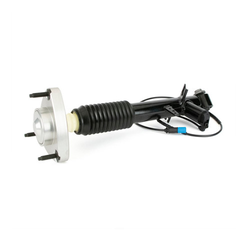  Arnott SK3817