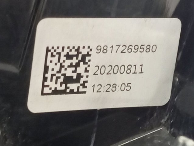  9817269580 Peugeot/Citroen
