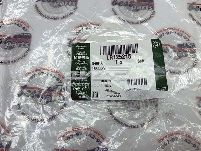 Amortecedor de cadeia do mecanismo de distribuição de gás, inferior para Land Rover Range Rover EVOQUE L551
