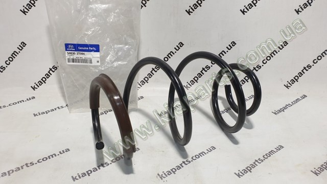 546302T094 Hyundai/Kia Mola dianteira