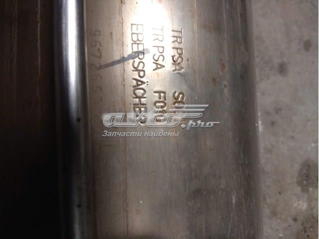 9672653580 Peugeot/Citroen 