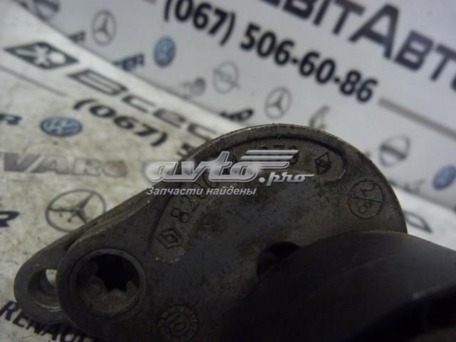 Reguladora de tensão da correia de transmissão 8200941079 Renault (RVI)