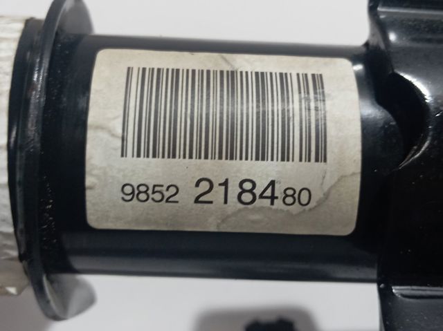 9852218480 Peugeot/Citroen Amortecedor dianteiro