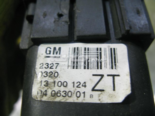  Opel 13100124