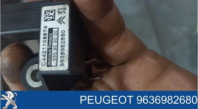 9636982680 Peugeot/Citroen 