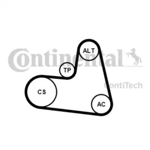 6PK1217K1 Continental/Siemens Correia dos conjuntos de transmissão, kit