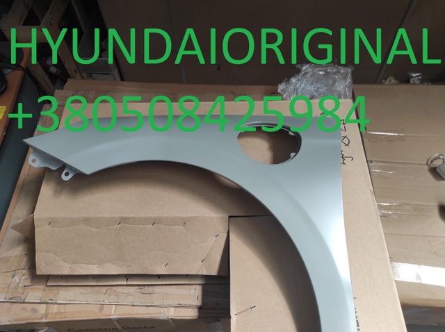 Pára-lama dianteiro esquerdo Hyundai/Kia 66310G7000 preço, a partir de 255,72 USD