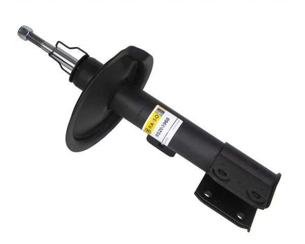 RS290960 Raiso Amortecedor dianteiro direito