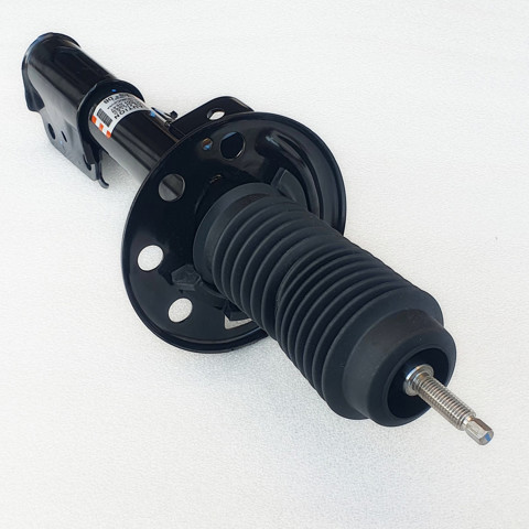 AST84816 Ford Amortecedor dianteiro esquerdo