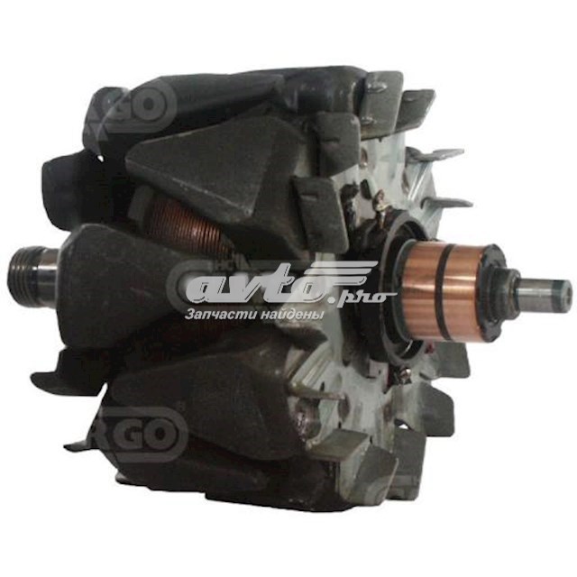 233761 Cargo Induzido (rotor) do gerador