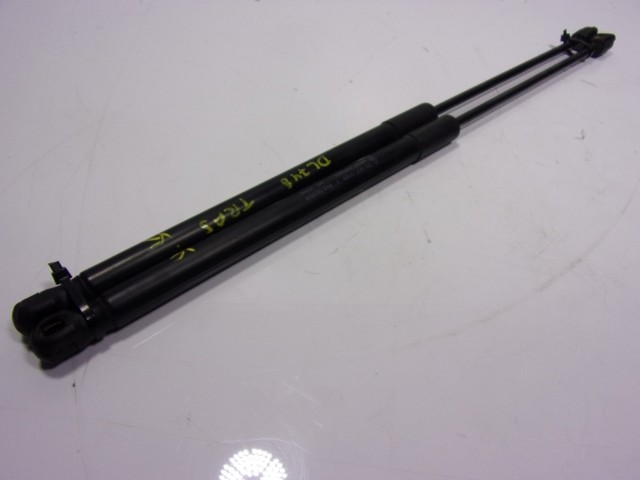 G1B5A406A10AB Ford Amortecedor de tampa de porta-malas (de 3ª/5ª porta traseira)