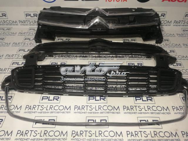 Consola de grelha do radiador Peugeot/Citroen 9816045580 preço, a partir de 105,46 USD