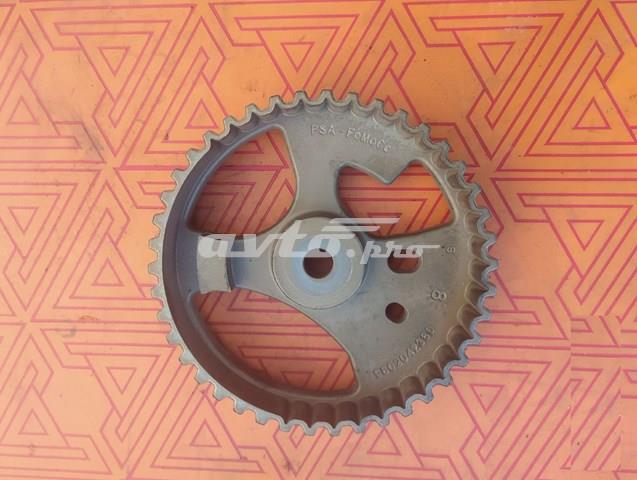 Compre 9802042380 Peugeot/Citroen Engrenagem de cadeia da roda dentada da árvore distribuidora de motor