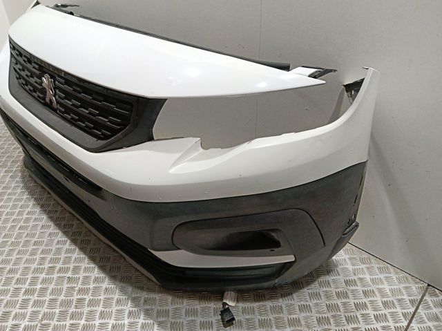 Compre 1632654680 Peugeot/Citroen Moldura superior de grelha do radiador