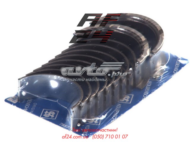 Folhas inseridas principais de cambota, kit, padrão (STD) Kolbenschmidt 87695600