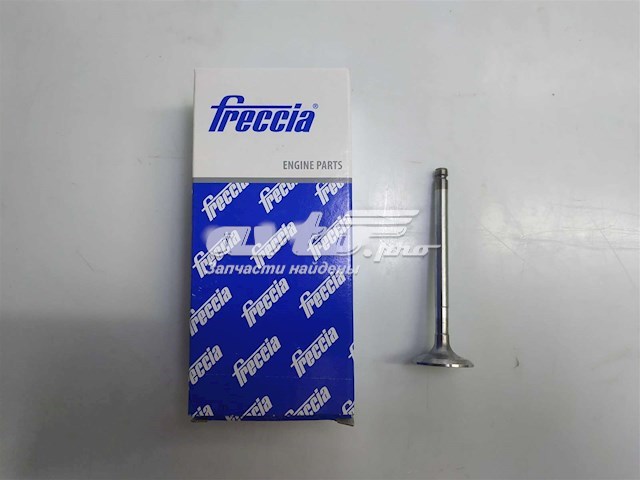Compre 6153 Freccia Válvula de admissão