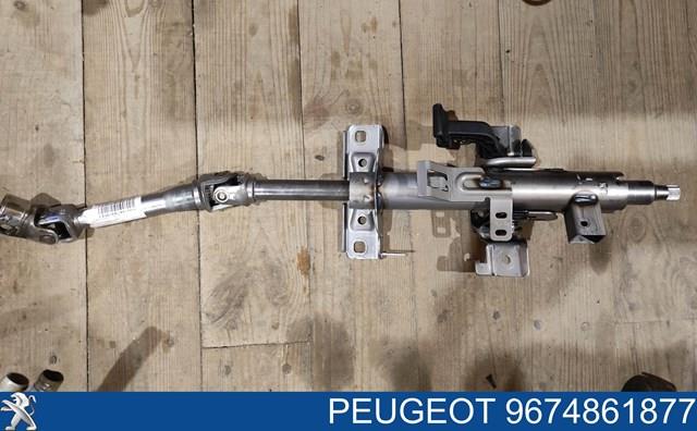 Compre 9674861877 Peugeot/Citroen 