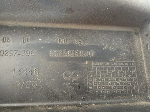9643814880 Peugeot/Citroen 