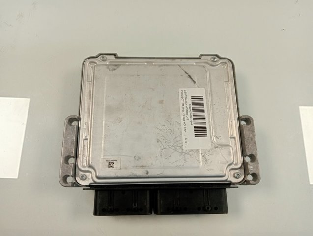 9845780880 Peugeot/Citroen 
