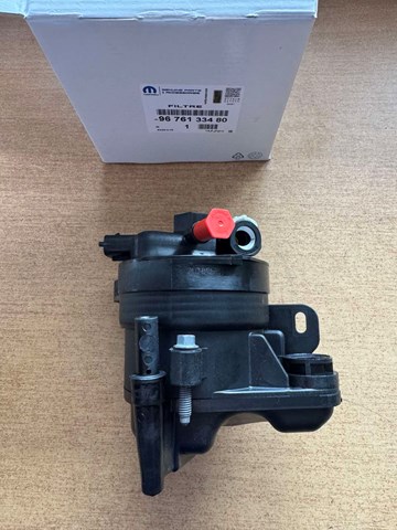 9676133480 Peugeot/Citroen Caixa de filtro de combustível