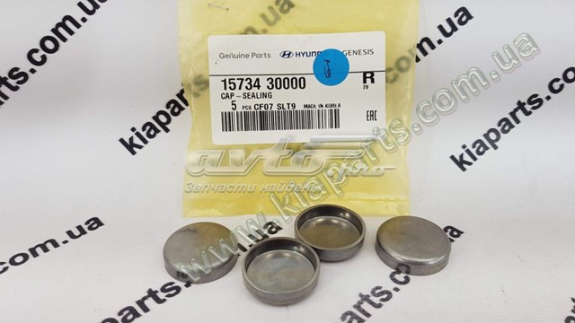 Compre 1573440000 Hyundai/Kia Tampão CBC/do bloco de cilindros