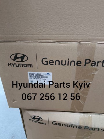  Hyundai/Kia 52910N7300PAC preço, a partir de 440,48 USD
