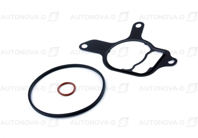 Kit de reparação da bomba de vácuo 30845002 AND