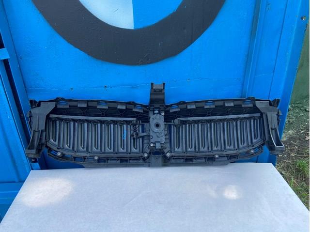 Perciana do radiador de esfriamento 51745A22C60 BMW