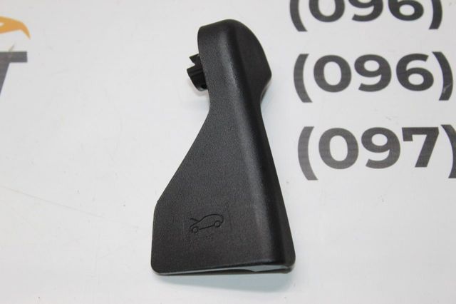 Compre 98259999ZD Peugeot/Citroen Puxador de abertura da capota