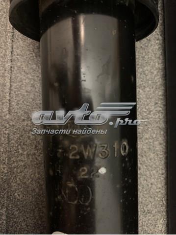 Amortecedor traseiro EX553102W300 Mando