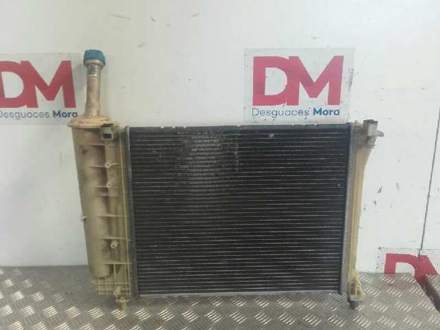 Radiador de esfriamento de motor Fiat/Alfa/Lancia 51939068